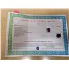 Image 3 : *CANNOT VERIFY, SEE DESC.*Oval Cut Natural OPAL 1.07 AAA Floral Flash Play of Color 9 x 7 mm - Appra