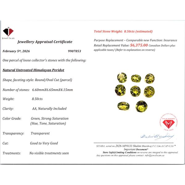 8.5 ct Certified Himalayan Peridot gemstone Parcel ($6,375 Appraisal)