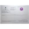 Image 1 : 32.68 ct Certified Uruguay Amethyst gemstone ($4,035 Appraisal)