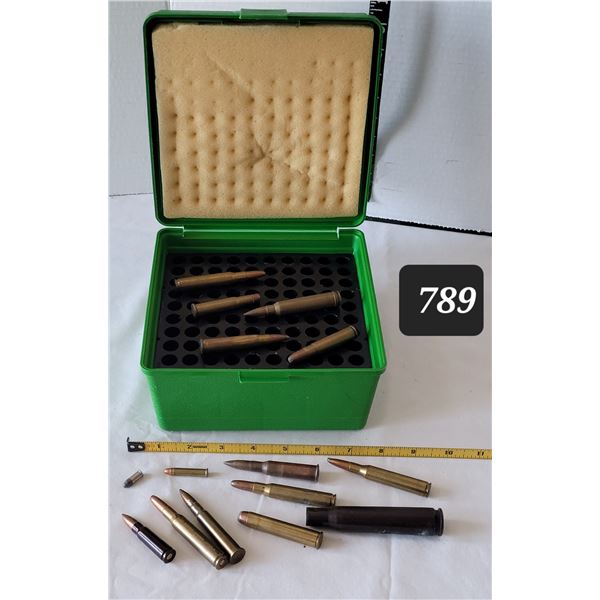 Case guard ammunition box with a collection of bullets.