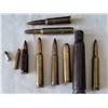 Image 2 : Case guard ammunition box with a collection of bullets.