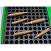 Image 3 : Case guard ammunition box with a collection of bullets.
