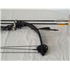 Image 4 : Mossy Oak archery bow. 3 arrows