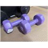 Image 3 : Welder Weight Dumbbell Set 2lb-8lb (2) Each on Stand  (6) Total