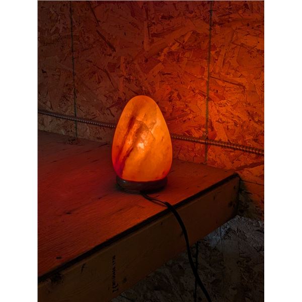 Smooth Salt Rock Lamp (Works)