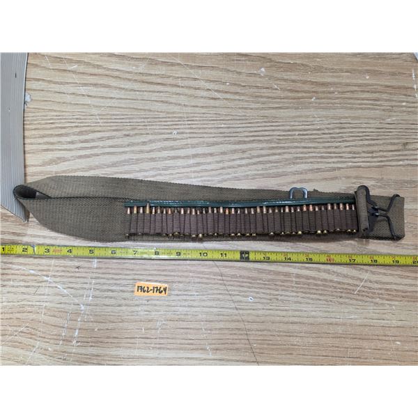 Ammunition belt full of 22 magnum shells
