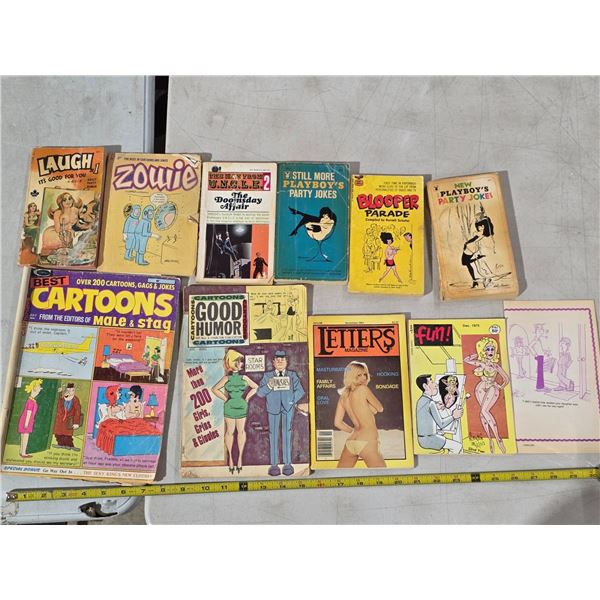 Adult cartoon books