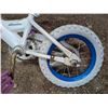 Image 2 : Nakamura Adventure Childs Bike 26" H