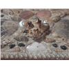 Image 3 : Vintage seashell encrusted trinket jewelry box.