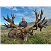 Image 3 : New Zealand Hunting Adventures