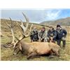 Image 4 : New Zealand Hunting Adventures