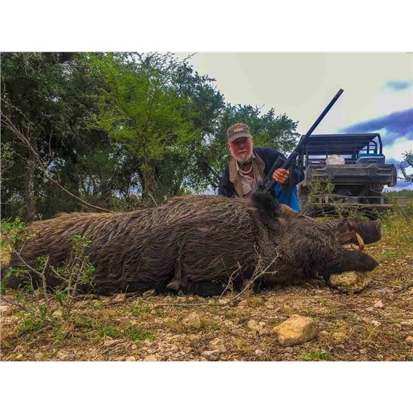 Ox Ranch Texas - Night Vision Hog Hunting
