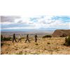 Image 21 : Ted Turner Reserve - 2 People 3 Night Experience