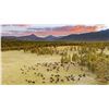 Image 4 : Ted Turner Reserve - 2 People 3 Night Experience