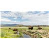Image 7 : Ted Turner Reserve - 2 People 3 Night Experience