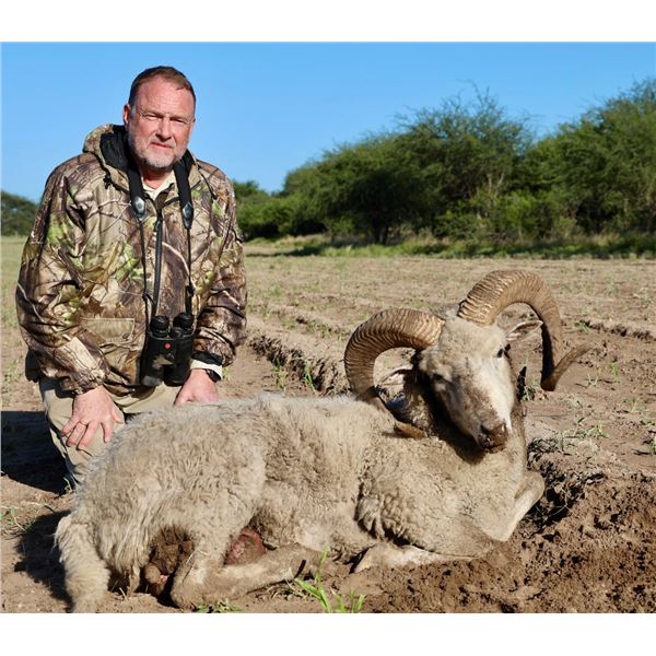 Mapu Hunting Lodge - Argentina Hunting Package