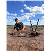 Image 2 : Mapu Hunting Lodge - Argentina Hunting Package