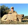 Image 3 : Mapu Hunting Lodge - Argentina Hunting Package