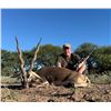 Image 4 : Mapu Hunting Lodge - Argentina Hunting Package