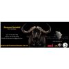 Image 2 : Africa Maximum Safaries - 8 Day Cape Buffalo Hunt