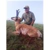 Image 2 : Lazy VL Ranch - Pronghorn Hunt