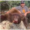 Image 3 : Baldy Mountain Outfitters  - Bear Hunt