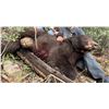 Image 5 : Baldy Mountain Outfitters  - Bear Hunt
