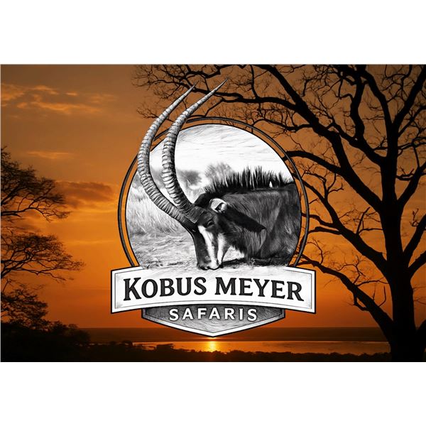 Kobus Meyer Safaris - Sable Hunt