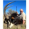 Image 3 : Kobus Meyer Safaris - Sable Hunt