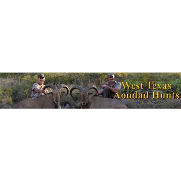 West Texas Hunt Organization -West Texas Aoudad