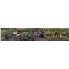 Image 1 : West Texas Hunt Organization -West Texas Aoudad