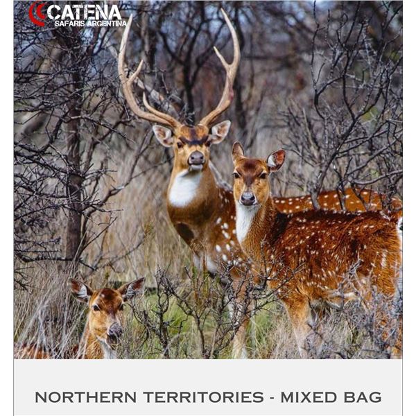Catena Safaris Argentina  - 4 Hunters!