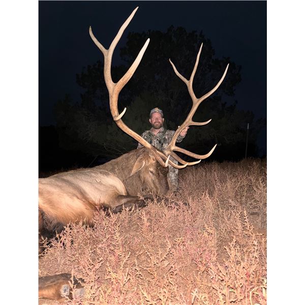 Vicente Ranch - * Trophy NM Bull Elk, Trophy NM Mule Deer, Trophy NM Antelope Hunt*