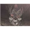 Image 4 : Vicente Ranch - * Trophy NM Bull Elk, Trophy NM Mule Deer, Trophy NM Antelope Hunt*