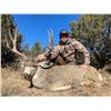 Image 5 : Vicente Ranch - * Trophy NM Bull Elk, Trophy NM Mule Deer, Trophy NM Antelope Hunt*