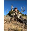 Image 6 : Vicente Ranch - * Trophy NM Bull Elk, Trophy NM Mule Deer, Trophy NM Antelope Hunt*