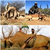 Image 10 : South Africa - Tally-Ho Hunting Safaris