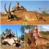 Image 11 : South Africa - Tally-Ho Hunting Safaris