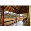 Image 17 : South Africa - Tally-Ho Hunting Safaris