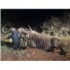 Image 20 : South Africa - Tally-Ho Hunting Safaris