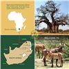 Image 2 : South Africa - Tally-Ho Hunting Safaris