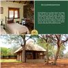Image 6 : South Africa - Tally-Ho Hunting Safaris