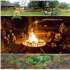 Image 7 : South Africa - Tally-Ho Hunting Safaris