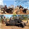 Image 8 : South Africa - Tally-Ho Hunting Safaris