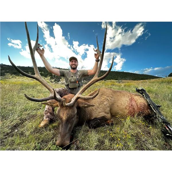 Wild New Mexico Outfitters LLC - Bow Either Sex Elk Hunt
