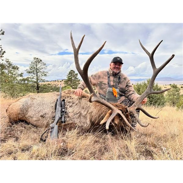 Wild New Mexico Outfitters LLC - Rifle Bull Elk Hunt
