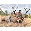Image 1 : Wild New Mexico Outfitters LLC - Rifle Bull Elk Hunt