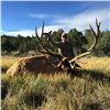 Image 4 : Wild New Mexico Outfitters LLC - Rifle Bull Elk Hunt