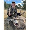 Image 1 : Wild New Mexico Outfitters LLC -Double Tag Dream Hunt: New Mexico Elk & Mule Deer Combo
