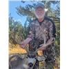Image 2 : Wild New Mexico Outfitters LLC -Double Tag Dream Hunt: New Mexico Elk & Mule Deer Combo
